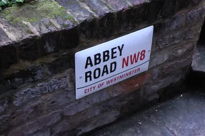 DSC_1669 (Large).JPG